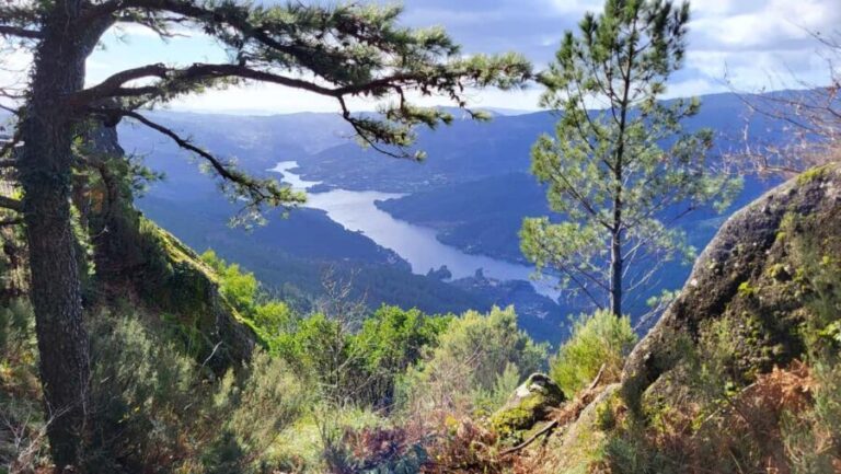From Porto: Peneda-Gerês National Park Day Trip - How the Itinerary Translates to Value