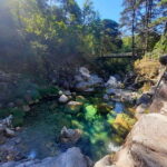 From Porto: small-group guided tour of the Douro Valley and Gerês - The Charm of the Douro Valley: Vineyards, Port Tasting, and River Cruises