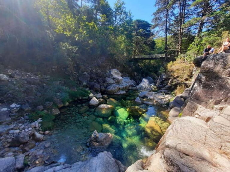 From Porto: small-group guided tour of the Douro Valley and Gerês - The Charm of the Douro Valley: Vineyards, Port Tasting, and River Cruises