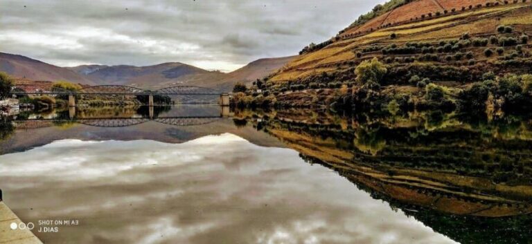 From Porto to Pinhão, Walk & Wine Tour - Who Should Consider This Tour?