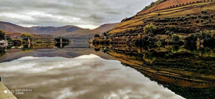 From Porto to Pinhão, Walk & Wine Tour - Who Should Consider This Tour?