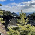 From Prague: Bohemian and Saxon Switzerland Full-Day Tour - Experience Options and Flexibility