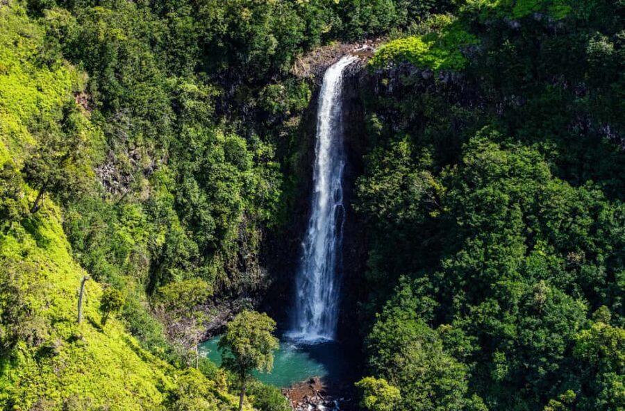 From Princeville: Discover Kauai Helicopter Tour - Who Should Consider This Tour?