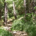 From Protaras: Full-Day Grand tour Jeep Safari with Lunch - What Makes This Tour Stand Out?