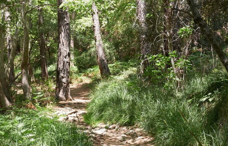 From Protaras: Full-Day Grand tour Jeep Safari with Lunch - What Makes This Tour Stand Out?