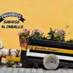 From Puebla: Atlixco & Atlimeyaya Private Tour all included - Practical Details & Value