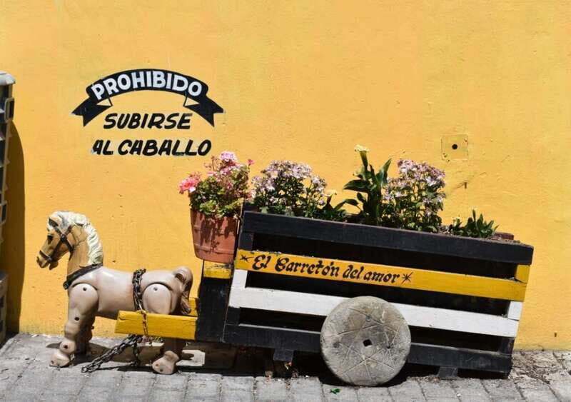 From Puebla: Atlixco & Atlimeyaya Private Tour all included - Practical Details & Value