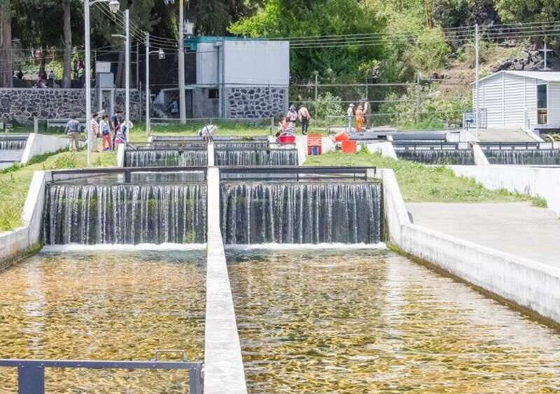 From Puebla: Cholula and Atlixco Private Tour all included - Practical Details and Value