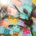 From Puerto Vallarta: San Pancho and Sayulita - What We Love About This Tour