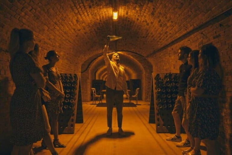 From Reims: Champagne Afternoon E-Bike Tour - What to Expect on the Tour