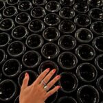 From Reims/Epernay : Food & Champagne Experience - Final Thoughts