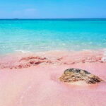 From Rethymno: Bus Trip to Elafonisi Beach - Transportation and Comfort