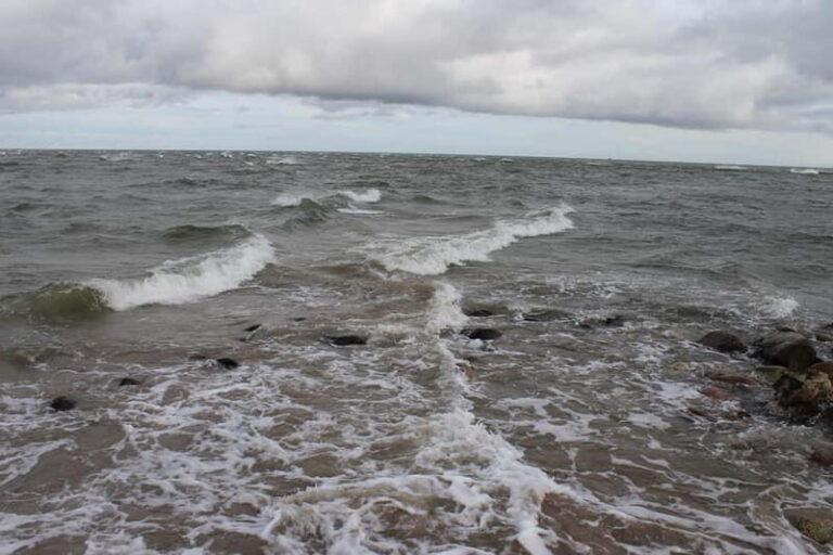 From Riga: Budget Day Trip to Kolka in Zen style! - How the Tour Adds Value  