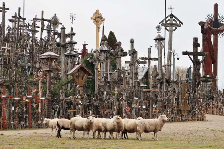 From Riga: Hill of Crosses and Jelgava Gems Tour - Practical Tips & Considerations
