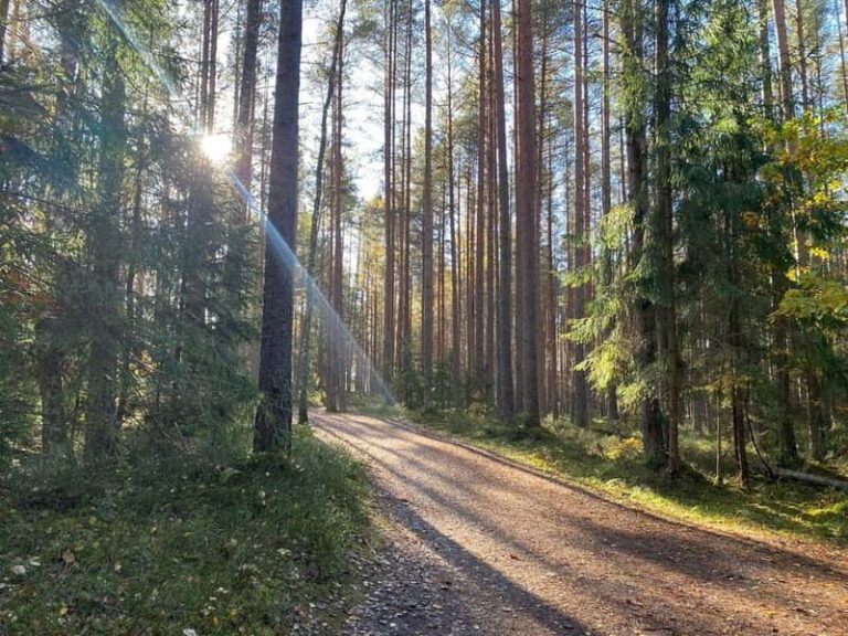 From Riga: Kemeri Bog & Seaside Jurmala - The Historic Spa Town of Kemeri