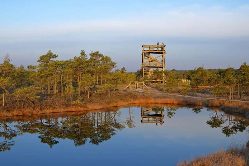 From Riga: Kemeri National Park and Kuldiga Tour - Who Should Take This Tour?
