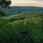 From Riga: Siguldas Top Sights & Scenic Picnic (EN/DE/ESP) - Exploring Sigulda: An Authentic Latvian Getaway