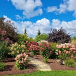 From Riga: Vidzeme Coast Half-Day Trip with Lunch - Why Choose This Tour?