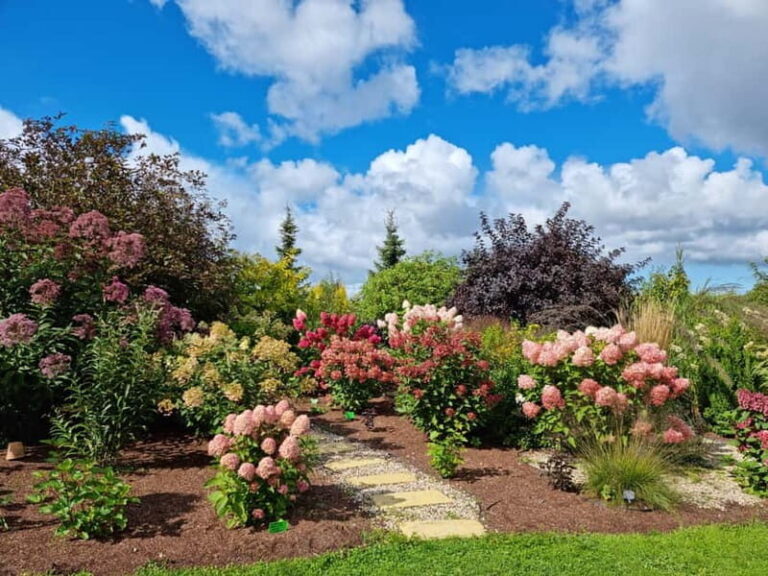 From Riga: Vidzeme Coast Half-Day Trip with Lunch - Why Choose This Tour?