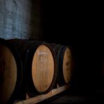 From Rome: Cantina Le Macchie Winery Tour and Tasting - A Deep Dive into the Tour