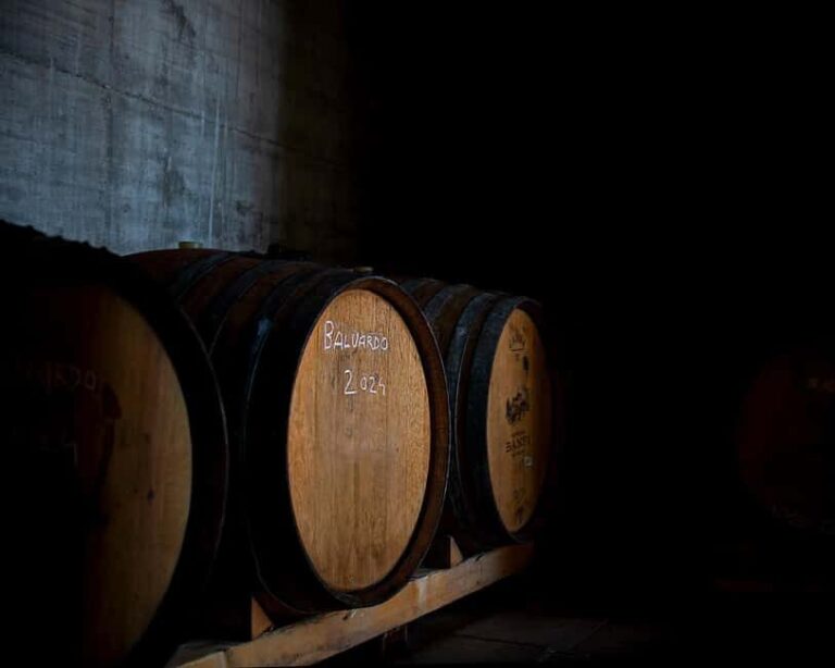 From Rome: Cantina Le Macchie Winery Tour and Tasting - A Deep Dive into the Tour