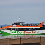 From Roses: Cruise on Costa Brava to Cadaqués - What to Expect on the Tour