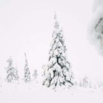 From Rovaniemi: Frozen Wonderland Riisitunturi Winter Hike - The Unique Campfire Experience