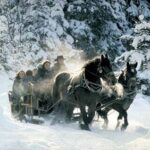 From Salzburg: 8 hour Horse-Drawn incl. 2-hour Carriage Ride - What’s Included & What’s Not