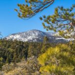 From San Diego: Two-Day Camping and Hiking Adventure in Idyllwild - In-Depth Itinerary Breakdown