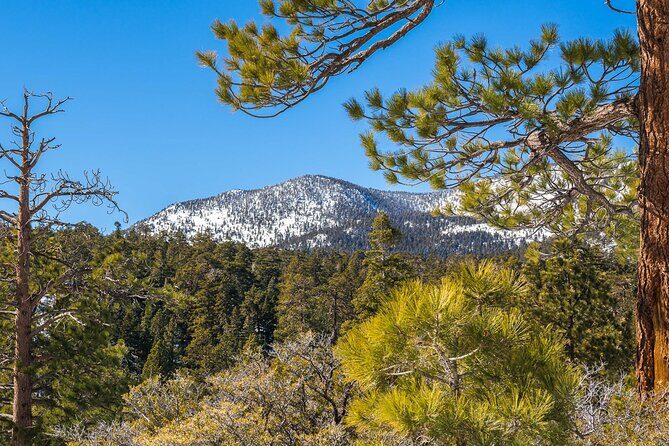From San Diego: Two-Day Camping and Hiking Adventure in Idyllwild - In-Depth Itinerary Breakdown