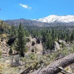 From San Diego: Two-Day Kayaking & Hiking at Big Bear Lake - Practical Details and Considerations