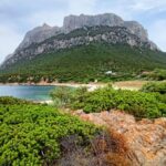 From San Teodoro: Tavolara Archipelago Dinghy Mini Tour - Final Thoughts