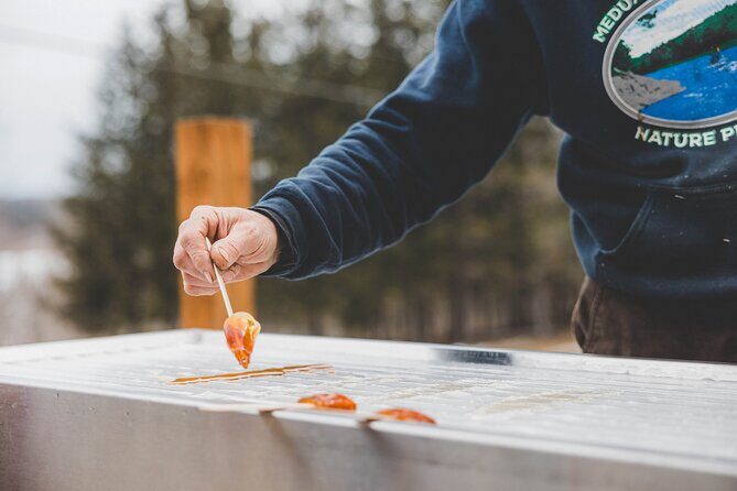 From Sap to Syrup: A Tasty Guided Maple Production Tour - The Guided Tour: From Tree to Bottle