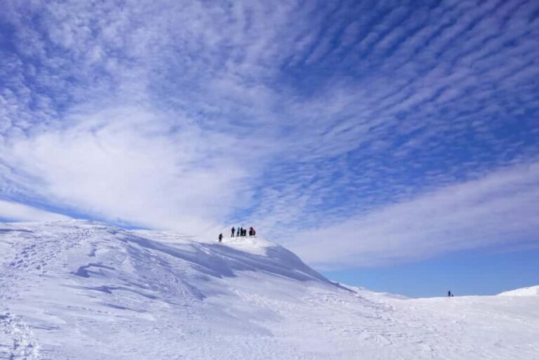 From Sarajevo: Mount Jahorina Snowshoeing Tour - Exploring the Itinerary in Detail