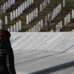 From Sarajevo: Srebrenica Genocide Study Tour - Why This Tour is Worth It
