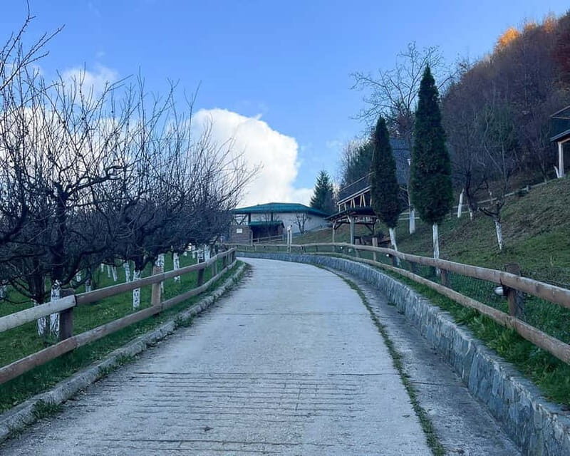 From Sarajevo: Visoko Pyramids, Plantations & Horse Riding - An Inside Look at the Journey from Sarajevo