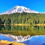 From Seattle: Mount Rainier Guided Day Tour - Transportation & Group Size