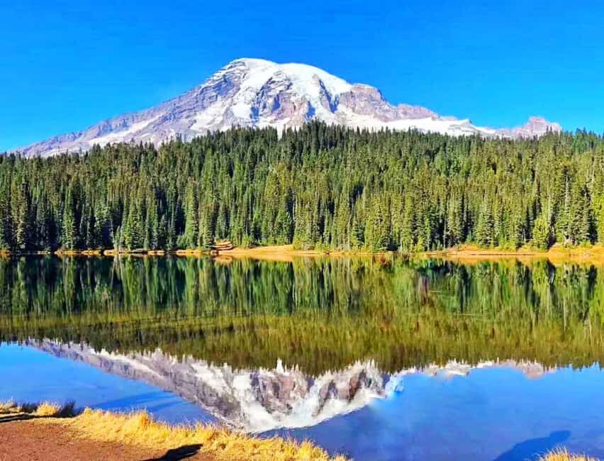From Seattle: Mount Rainier Guided Day Tour - Transportation & Group Size