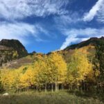 From Seattle: Mount Rainier National Park 1-Day Tour - What Makes This Tour Stand Out?