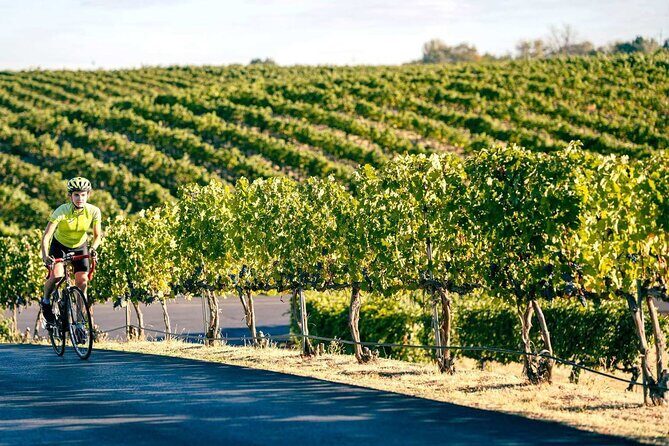 From Seattle Wine Tasting, Vineyards in Eastern WA - VanArnam Vineyards: A Closer Look