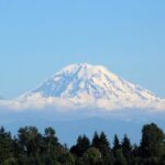 From Seattle:Hiking in Mount Rainier Private Tour - Who Is This Tour Best For?