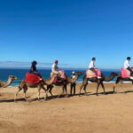 From Seville: 2, 3, or 4-Day Morocco Trip with Ferry & Guide - The 2-Day Option: Perfect for a Quick Escape
