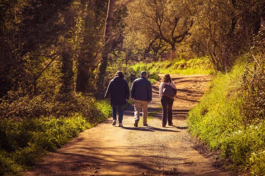 From Seville: White Villages of Huelva Private Full-Day Tour - What You Can Expect During the Day