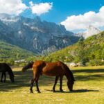 From Shkoder: 2-Day Trip to Theth with Accommodation - Final Thoughts: Who This Tour Is Perfect For