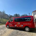 From Sibiu: Blue Line & City Tour Sighisoara - UNESCO - Exploring Sighisoara’s Heritage