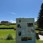 From Sibiu: Brukenthal Palace & The Upside-down House Avrig - In-Depth Breakdown of the Itinerary