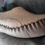 From Sibiu: Rural Gastronomy & Village Crafts around Biertan - Final Thoughts: Who Will Love This Tour?