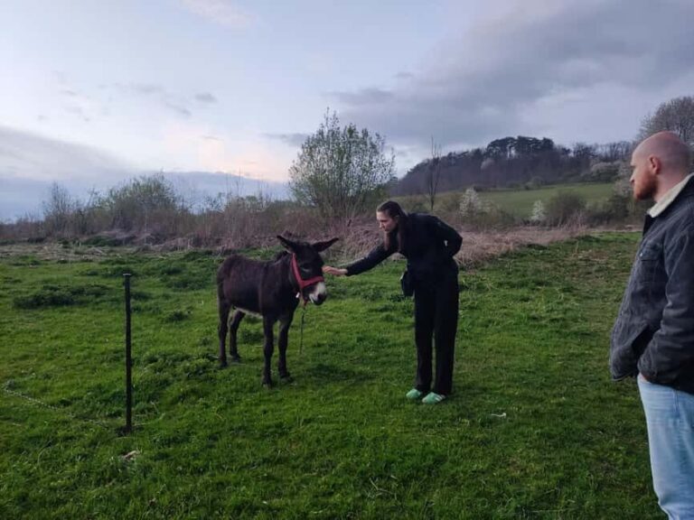 From Sibiu: Villages, Farm Life & Horse Carriage Ride - Practical Tips for Travelers