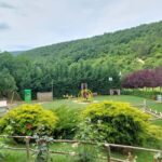 From Skopje: Kosovo in a Day  Prishtina, Monastery & Bears - Exploring Prishtina: The Heart of Kosovo