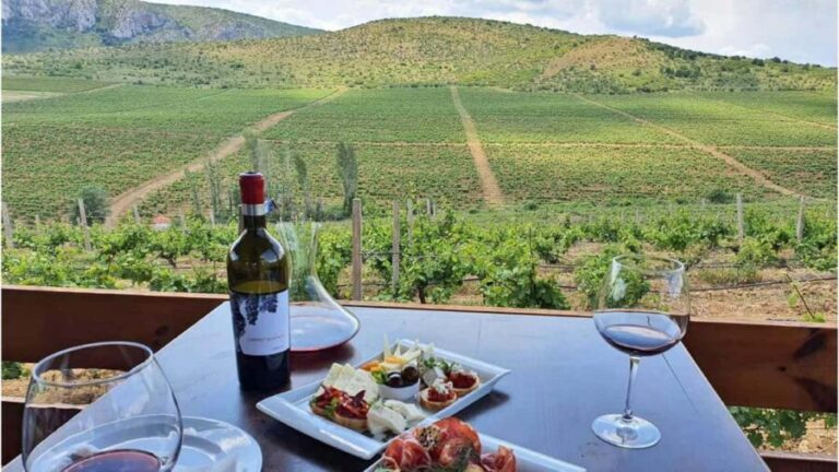 From Skopje: Lazar & Chateau Sopot Wineries Visit & Tastings - Exploring the Itinerary in Detail